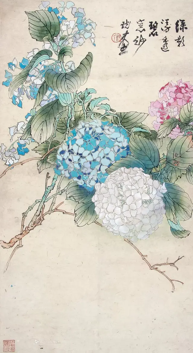 绣球怎么画，绣球怎么画的图片大全（这么难画的绣球花）