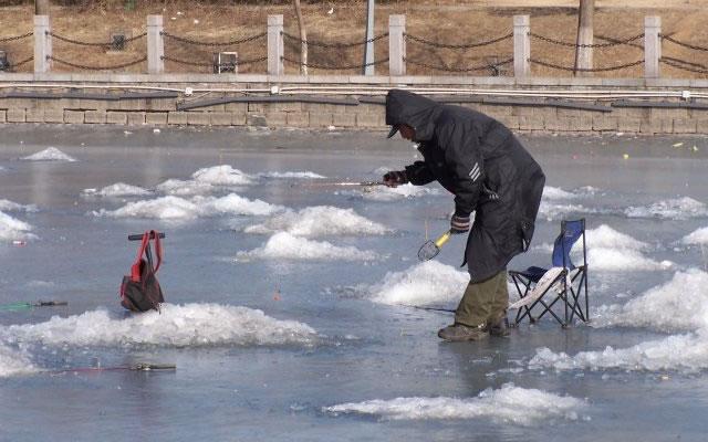 钓鲫鱼用什么钩，钓鲫鱼用什么鱼钩比较好（用几号钩才能中鱼多）