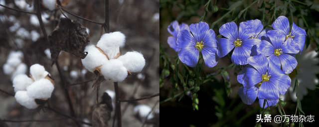 桑蚕丝衣服容易皱怎么办，桑蚕丝衣服真的不要买（衣服为什么动不动就皱巴巴）