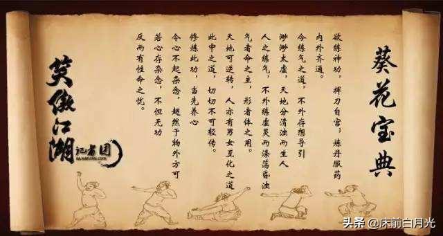 葵花宝典是什么意思，内卷是什么意思（葵花宝典到底出自何人之手）