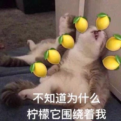 盘他是什么意思，盘他是什么梗（2019年度网络热梗知多少）