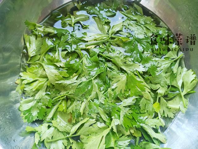 胡萝卜芹菜叶饼的做法，芹菜胡萝卜饼的做法窍门（饭店最少要卖20元）