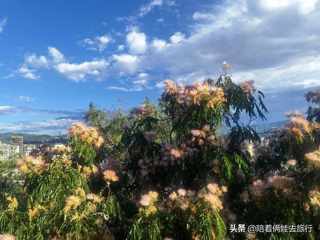 洱海海拔多少米，洱海拔多少米高（发现真是个绝佳的免费宝藏遛娃地）