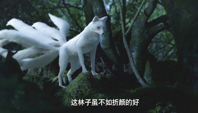 《三生三世》现过真身的7个角色,2个喜欢白浅,而他做过2次红娘