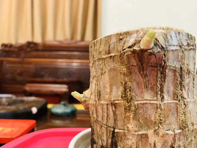 新浪邮箱客服电话24小时人工服务热线，微信零钱通客服电话人工服务（新浪微博，江湖再见！）