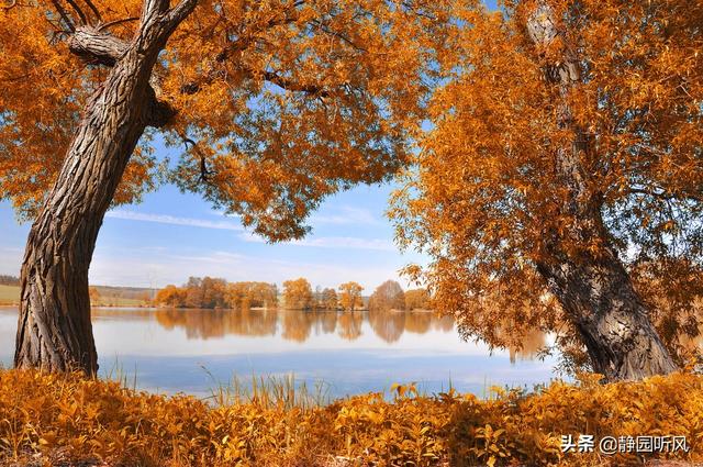 秋天的况味主要内容，秋天的况味的内涵（秋天的况味 文/任 静）