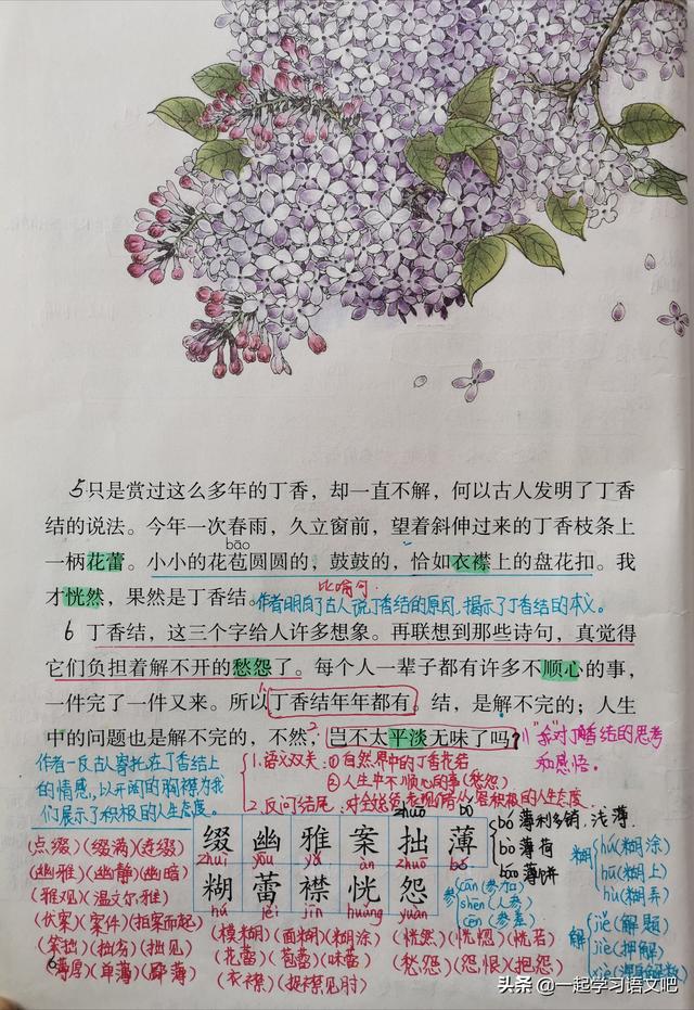 芭蕉不展丁香结，芭蕉不展丁香结的意思是什么（思考作者感悟到了怎样的人生真谛）