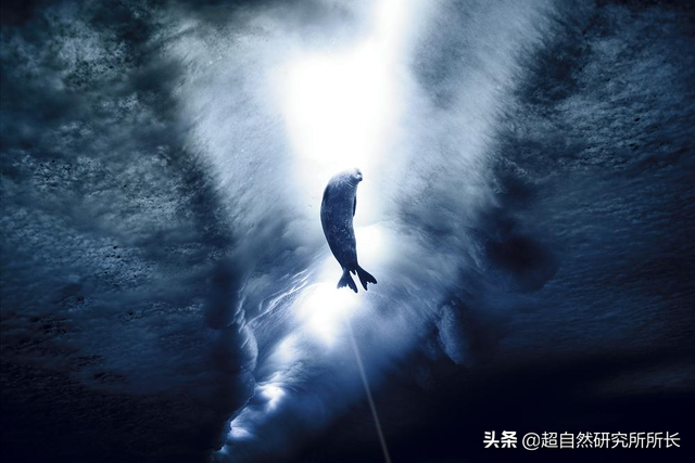 海底最深处的生物，10000米恐怖深海鱼（南极深处真的存在巨大的生物吗）