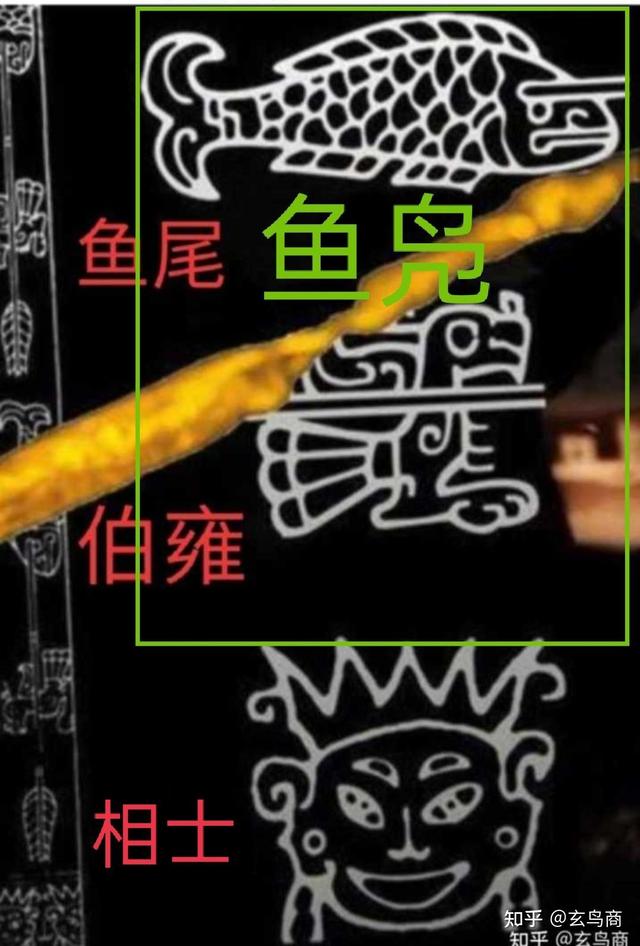 蚕丛及鱼凫指什么，蚕丛及鱼凫指的什么（蚕丛、柏濩、鱼凫）