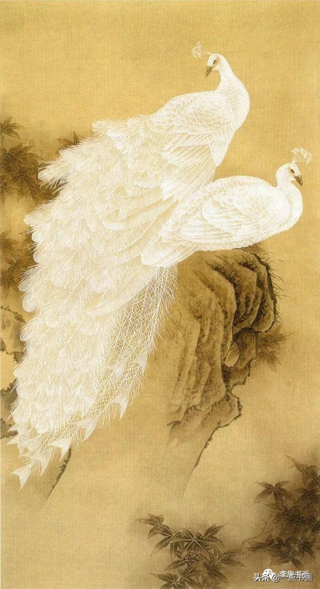 画孔雀的简笔画，如何画孔雀简笔画（国画教程——孔雀画法）