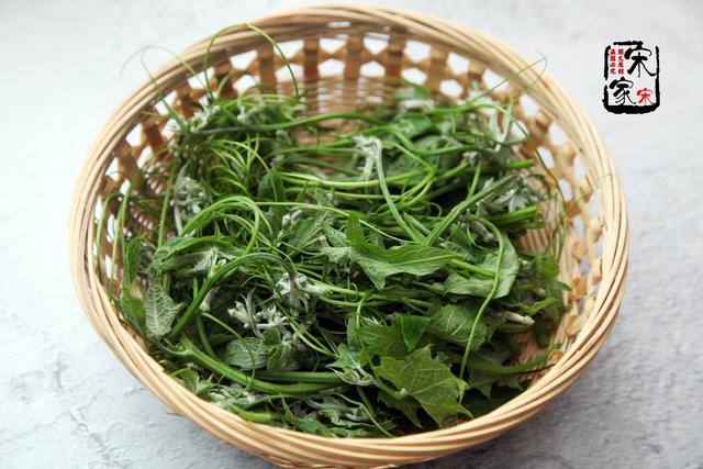 地瓜藤怎么做好吃，为何红薯叶尽量少吃或不吃（丝瓜藤上最好吃的部份）