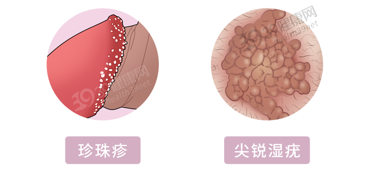 丁丁网 南京（丁丁长了）