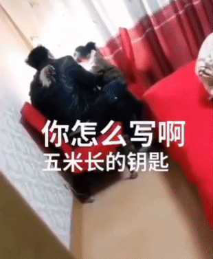 草蜢的《失恋》 歌词，草蜢的《失恋》（听完网易有道这支金曲）