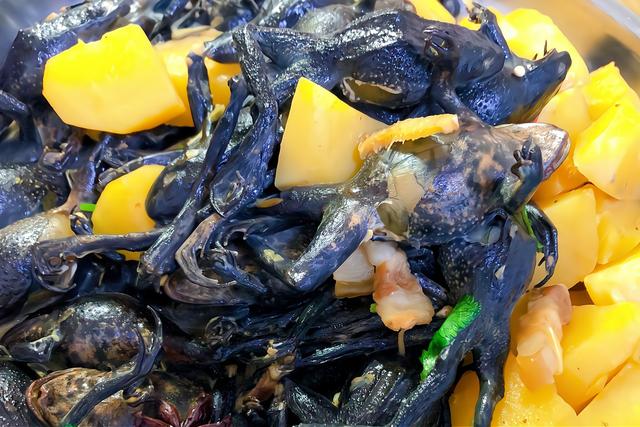 癞蛤蟆怎么吃，癞蛤蟆怎么吃到天鹅肉（有一道是“土豆炖蛤蟆”）