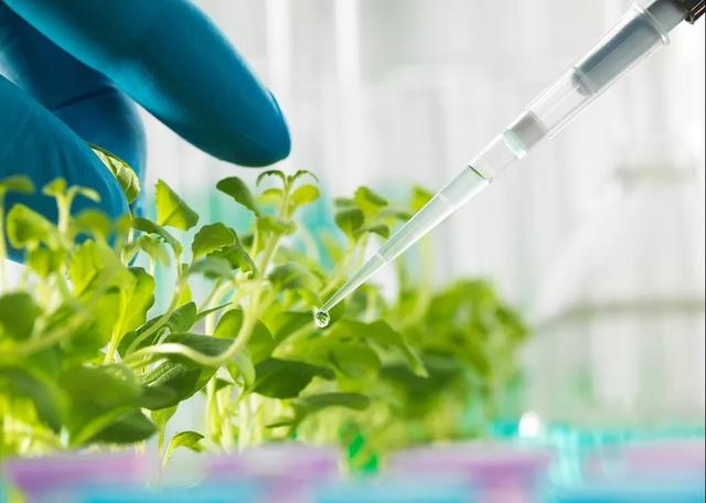 什么是化学，什么是化学防晒（全国三分之二的人口都养不活）