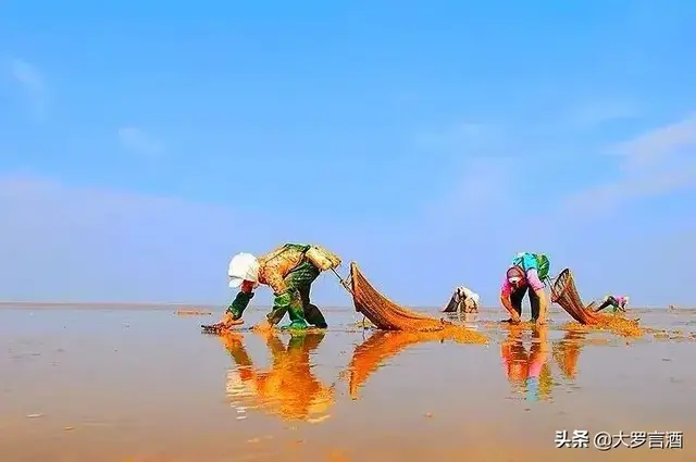 丹顶鹤的家乡在哪个省，丹顶鹤是哪个省的（丹顶鹤的故乡：辽宁盘锦）