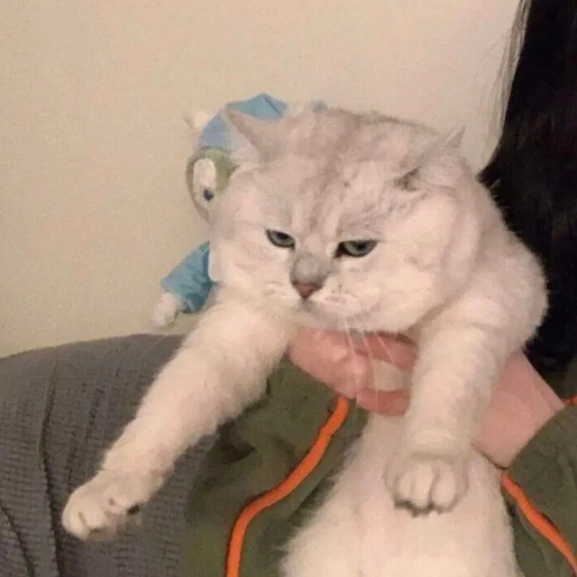 小众情头，微信头像，小众情头（情侣头像，小众情头）