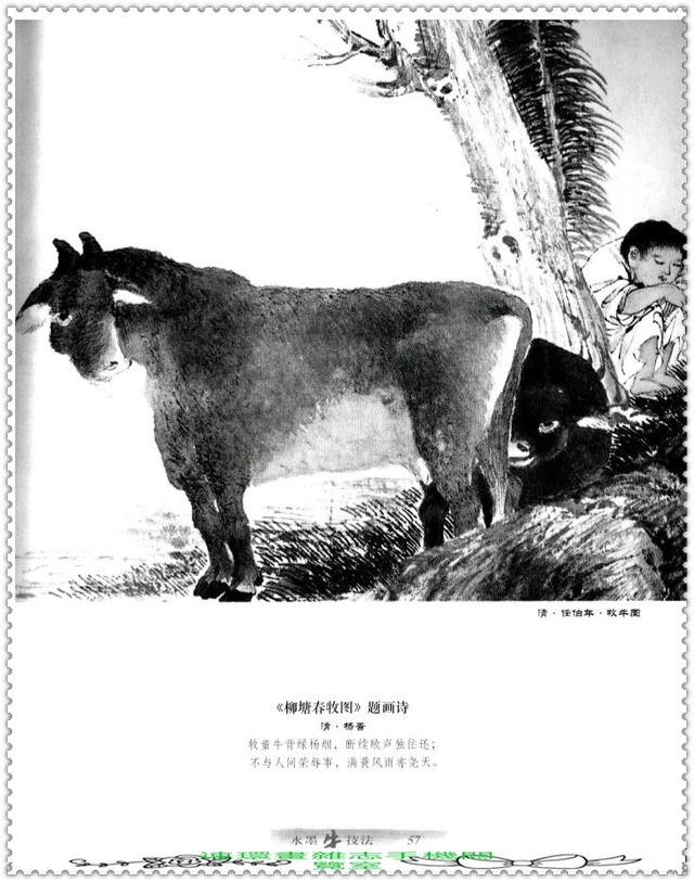 水墨国画牛画法，中国画水墨牛技法