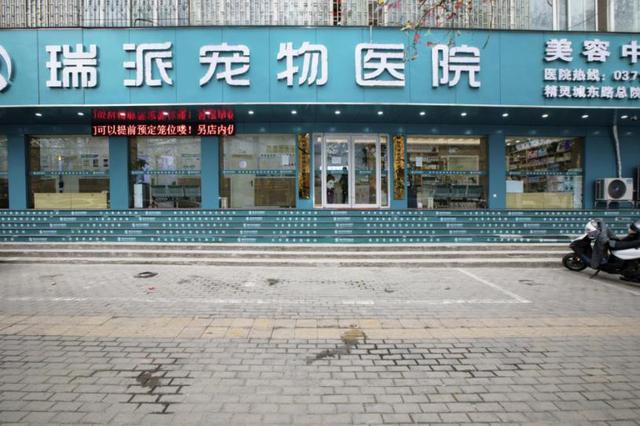 哈尔滨宠物医院，十大哈尔滨宠物医院排名（瑞派宠物医院告诉你最牛医院的正确打开方式）