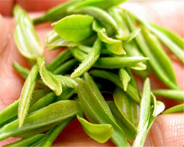 历史悠久的南京茶文化，南京茶南历史（中国茶叶历史悠久名扬四海）