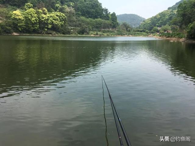 野河鲤鱼怎么钓，全国公认第一鲤鱼饵料（守大鲤鱼还得有针对性）