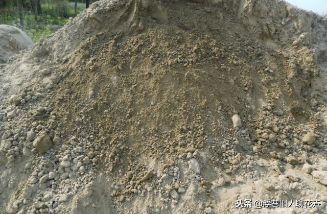 菜籽饼绝密配方，菜籽饼菜籽饼（养绣球要学会这种配土方法）