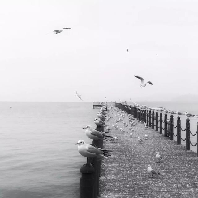 iphone拍照有哪些功能，iPhone手机的自带相机操作完全指南