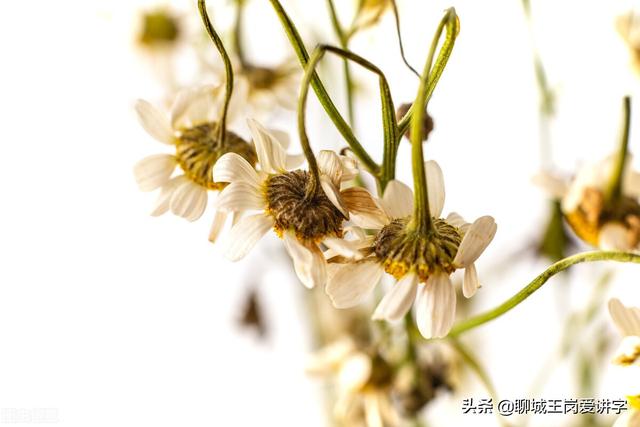 汉字稠组词语，稠组词语（形近字“凋绸稠惆”到底哪里不同）