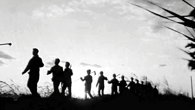 知青周萍的结局，周萍最后的结局是自杀（指导员被纳为重点嫌疑对象）