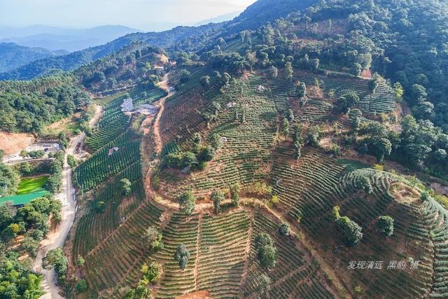 大罗山在什么位置，真无愧于清城最美山峰的称号
