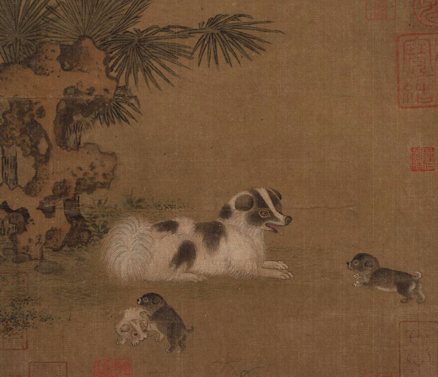 祖冲之是哪个朝代的，祖冲之是哪一个朝代的（祖冲之：我身为一个数学家）
