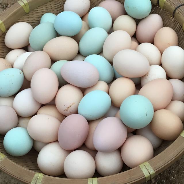 鸭蛋胆固醇高吗，盐鸭蛋黄胆固醇高吗（营养师：胆固醇含量排行榜）