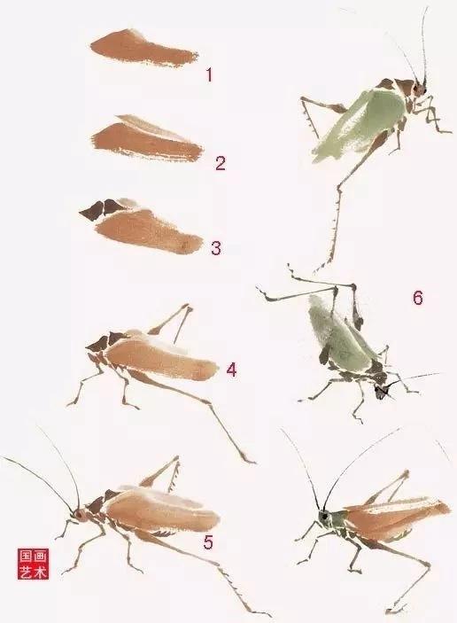 蝗虫简笔画怎么画，蝗虫的简笔画怎么画（螳螂、纺织娘）