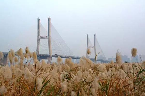 武汉的旅游景点，武汉值得去的景点（让你领略当地独特的风情与魅力）