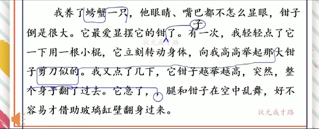 修改病句添加符号怎么画三年级（三年级用修改符号修改的句子）