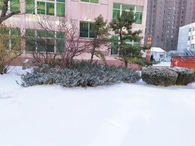 辽宁科技大学宿舍，2021年辽宁科技大学新生宿舍条件图片环境怎么样（<十五>辽宁科技大学）