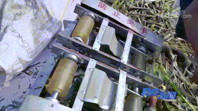 竹笋怎么剥皮，新鲜竹笋怎么剥皮详细图解（有了“王万能”发明的神器）