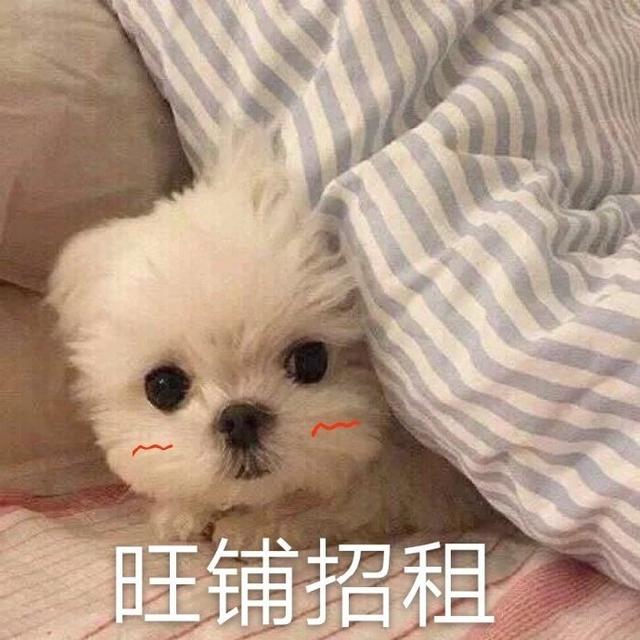 你在教我做事啊表情包，“你在教我做事（表情包：你在教我做事）