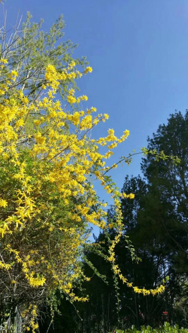 关于桃花最出名的诗句，关于桃花最出名的诗句有哪些（86句关于桃花的唯美诗句）