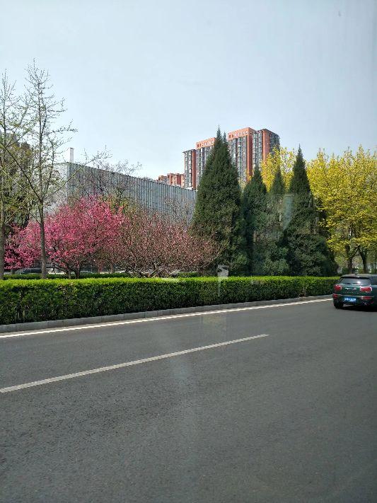 一次尴尬的面基――不要轻易的面基