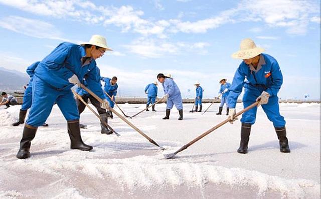 关于盐巴的介绍，盐巴是什么（离不开的调味品——识盐有学问）