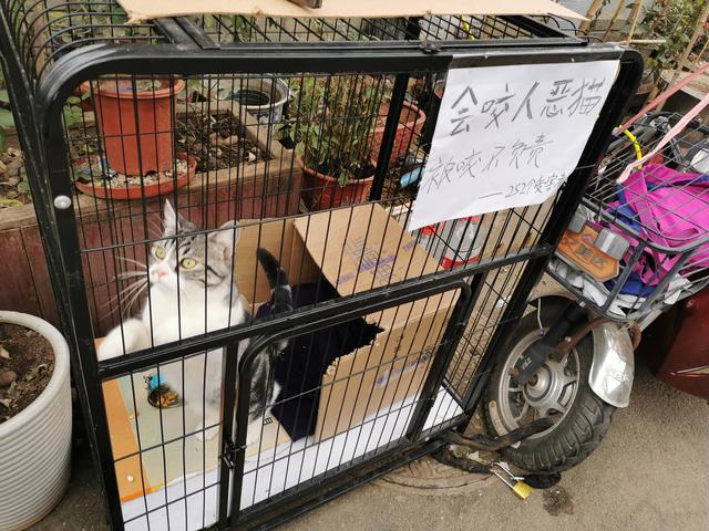 北京三友百货，北京三友百货现在还有吗（东四牌楼东的点滴回忆）