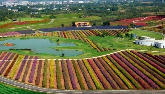 草莓基地在哪里，草莓的产地是哪（成都5个草莓基地）
