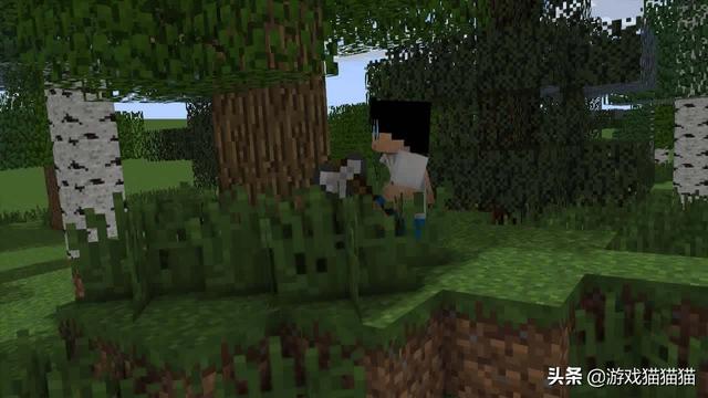 体亏屁思是什么意思什么梗，体亏屁思是什么意思（老马亏到坐公交、犹豫就会白给）