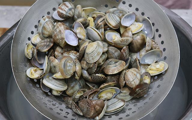 炒花甲怎么炒好吃，爆炒花甲怎么做（家常菜爆炒花甲）