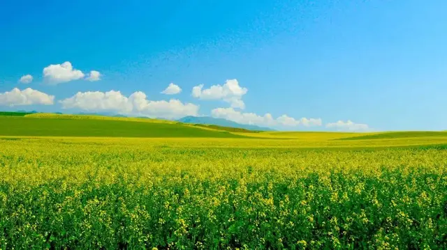 粗茶淡饭的反义词，粗茶淡饭的反义词是什么 标准答案（太齐全了，值得收藏）