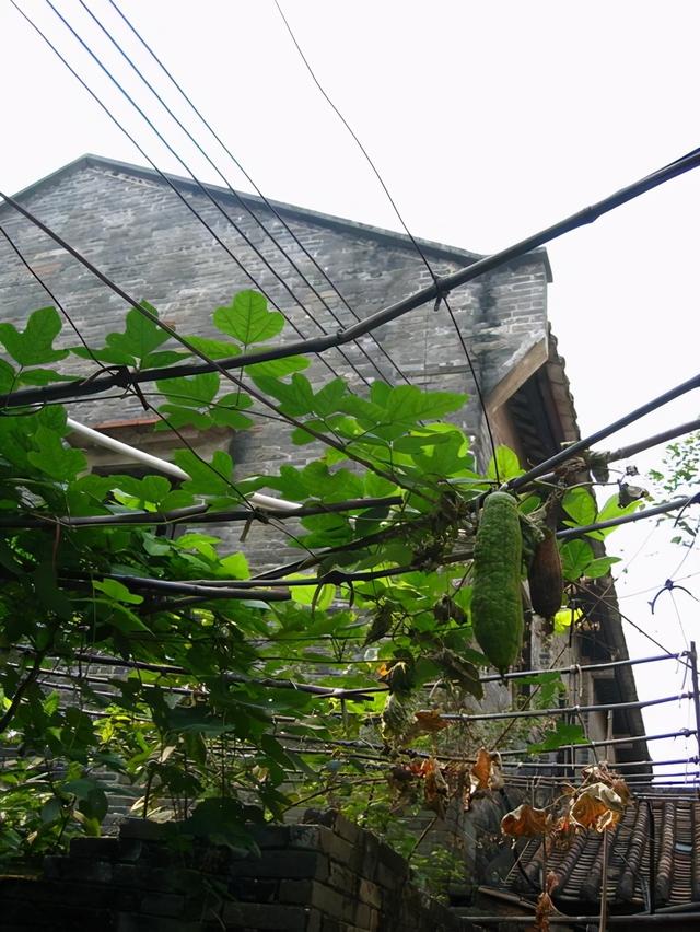 广东佛山瓷砖价格，广东佛山瓷砖价格多少钱（寻访古村落之旅：2005）