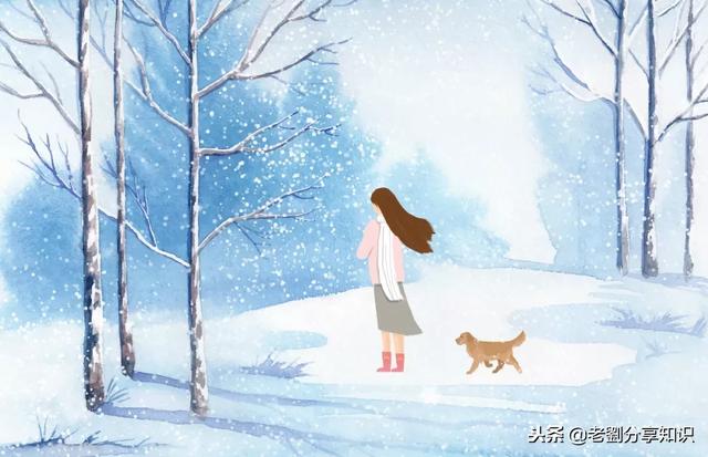 描写大雪过后的优美句子，描写大雪过后的优美句子短句（素材：描写下雪天好词好句好段）