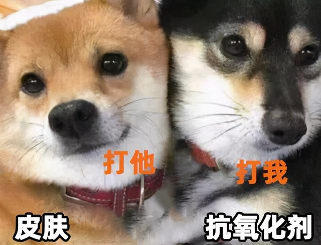 乐敦cc保质期，乐敦cc保质期怎么看（款性价比超高，不比医美差）