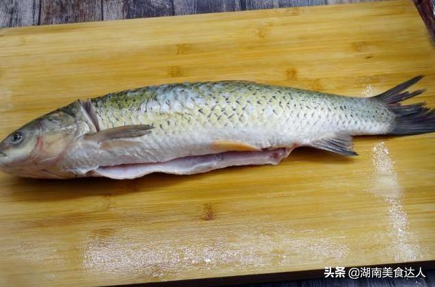 鱼腥线在哪，鱼腥线在哪个位置长着（这4处才是腥味源）